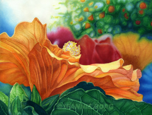 Hibiscus